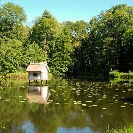 Schloss Luebbenau Luaran gambar