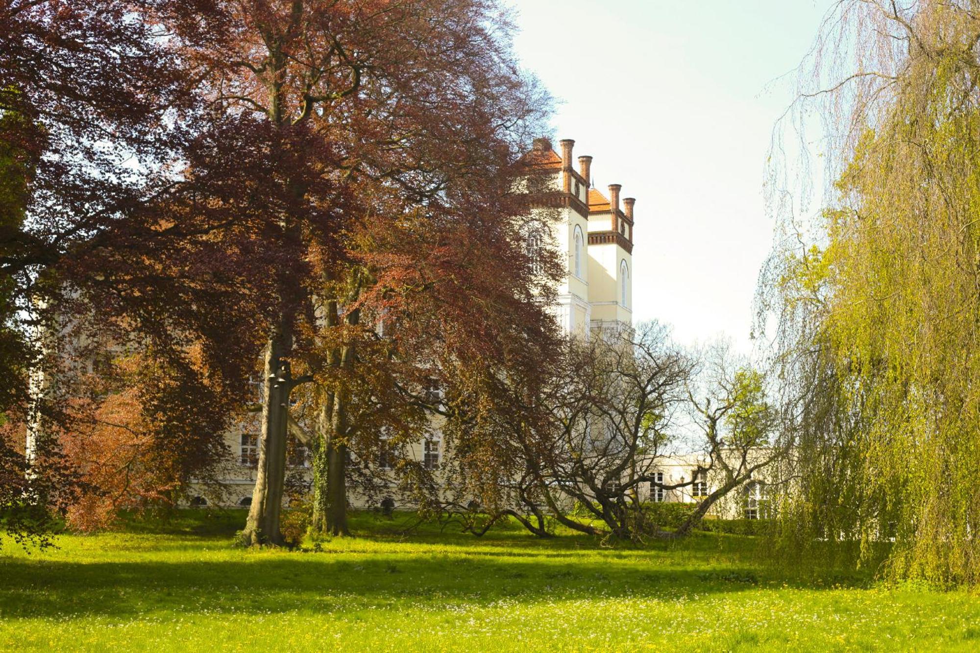Schloss Luebbenau Luaran gambar